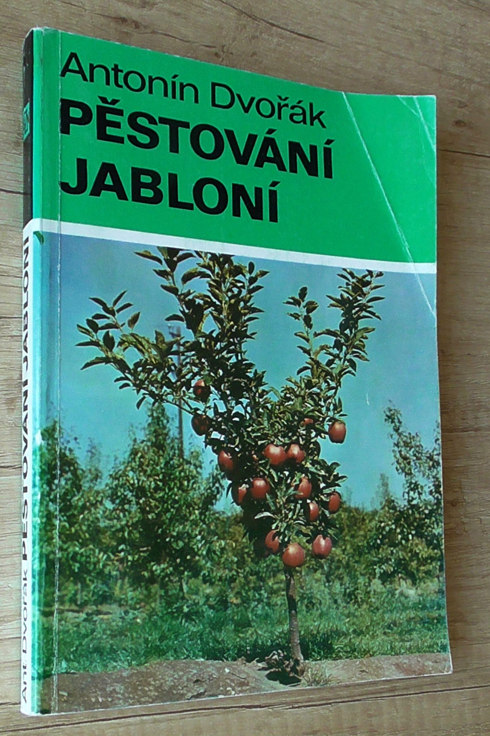 Pěstování jabloní