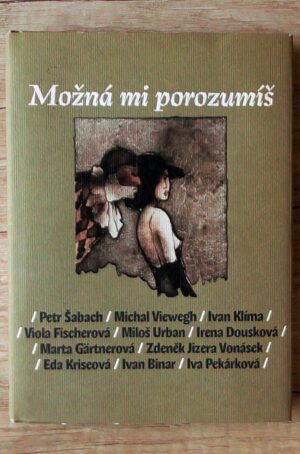 Možná mi porozumíš