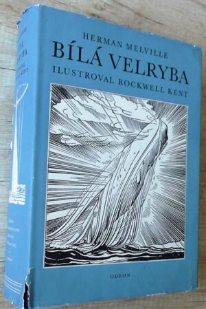 Bílá velryba