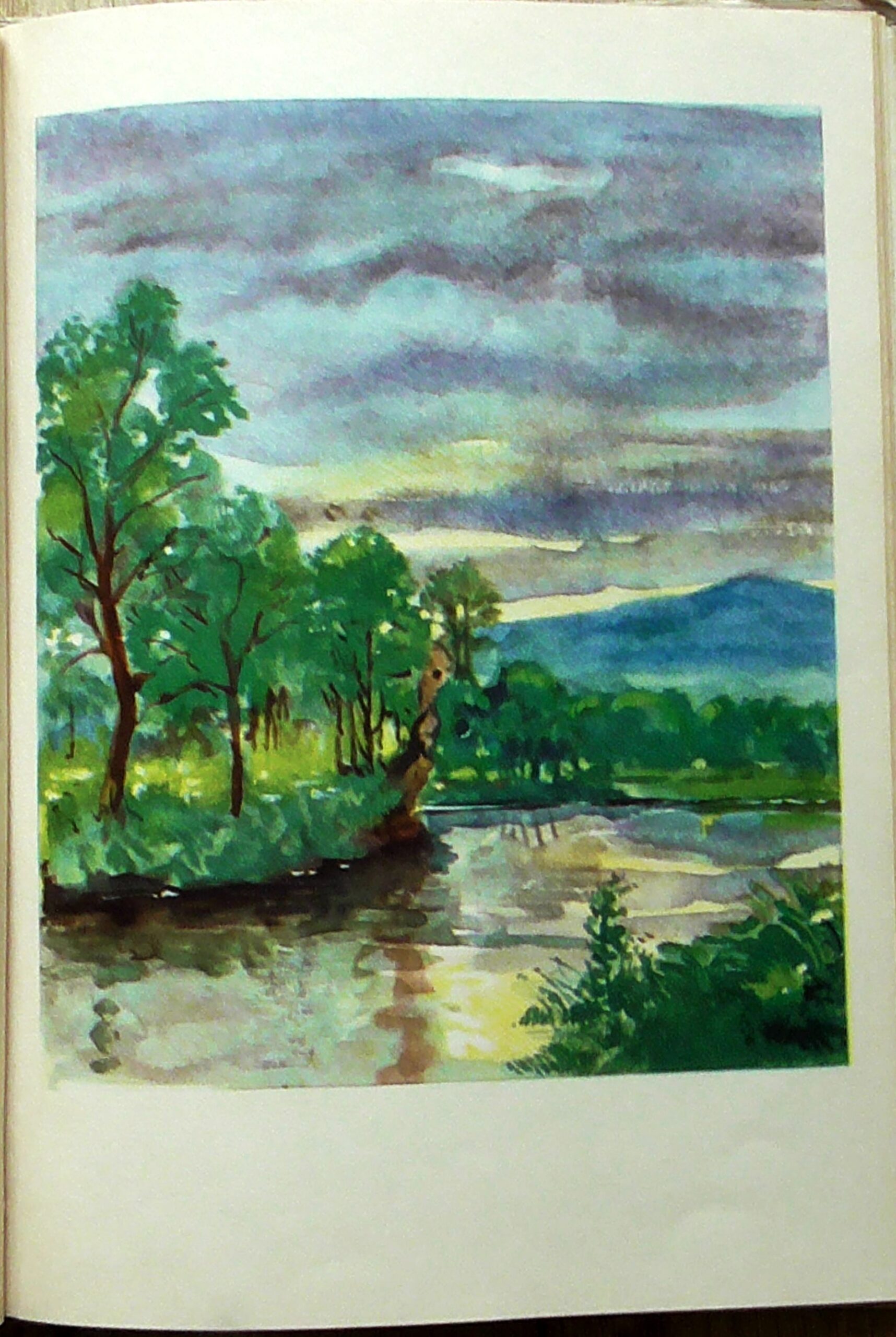 Dravci pstruží řeky_2