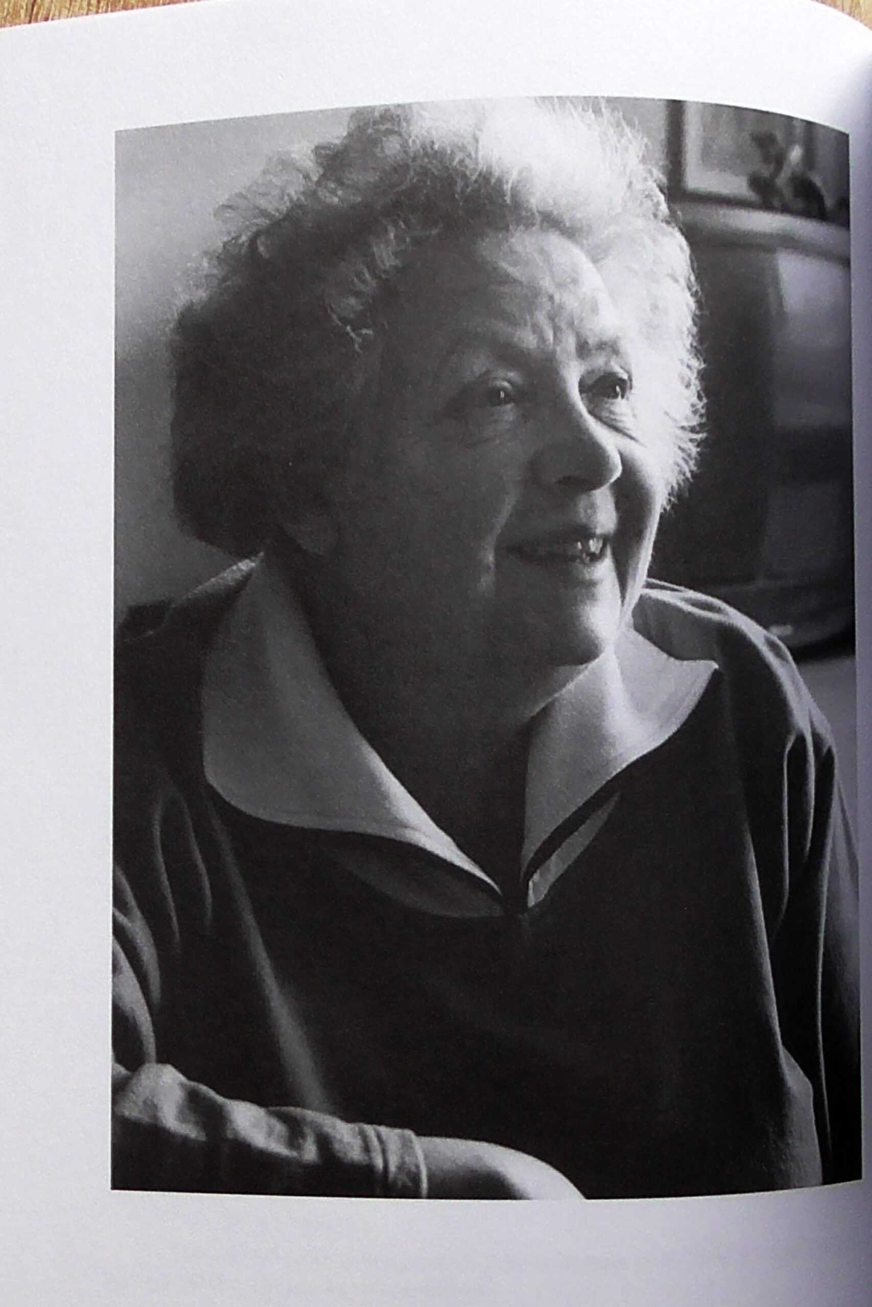 Současní čeští spisovatelé_3